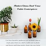 YOUEON 16 Pack Amber Glass Bud Vase, 8 Oz Living Bud Vases, Small Vases for Flowers, Decorative Amber Bottles for Table Centerpiece, Home Decor, Office, Wedding Reception, Vintage Style Brown