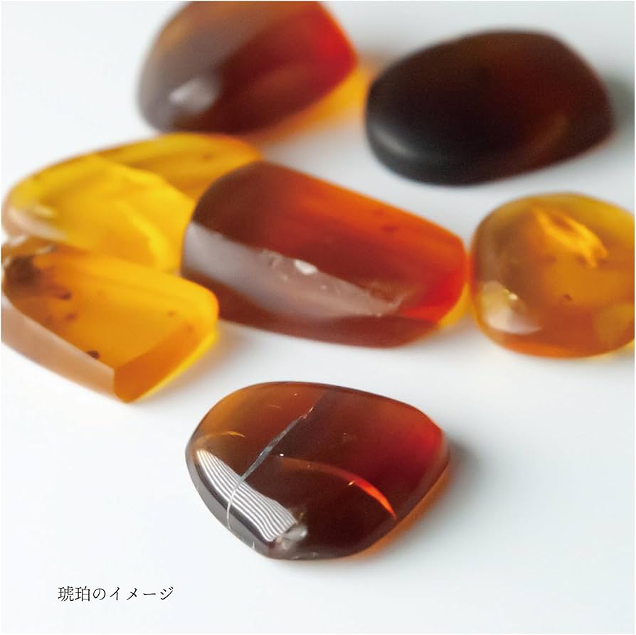 大粒天然虫入り琥珀アンバー夏休み自由研究化石恐竜
