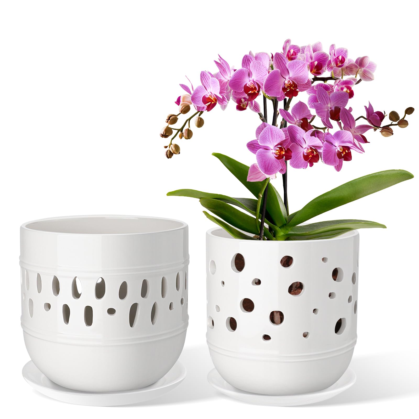 LITUDISO Set of 2 Orchid Pots