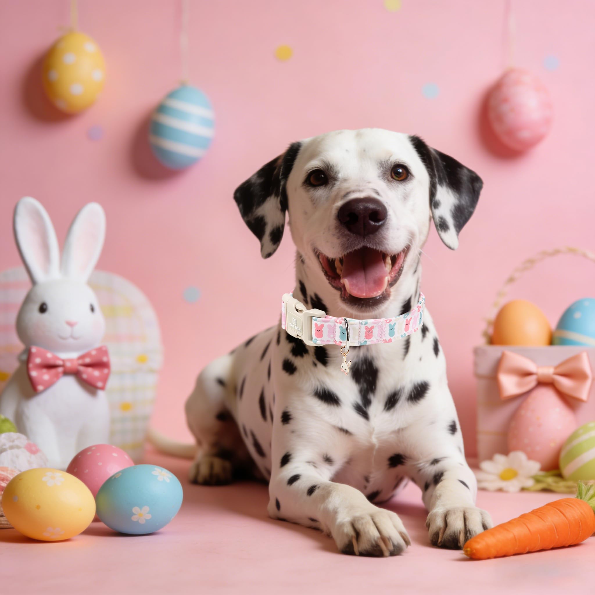 Maca Bates Easter Basic Dog Collar with Rabbit Charm for Small Girl Boy Dogs, Colorful Bunny Pattern,Adjustable Durable Soft Collars Festival Gift for Male Female Puppy - 3
