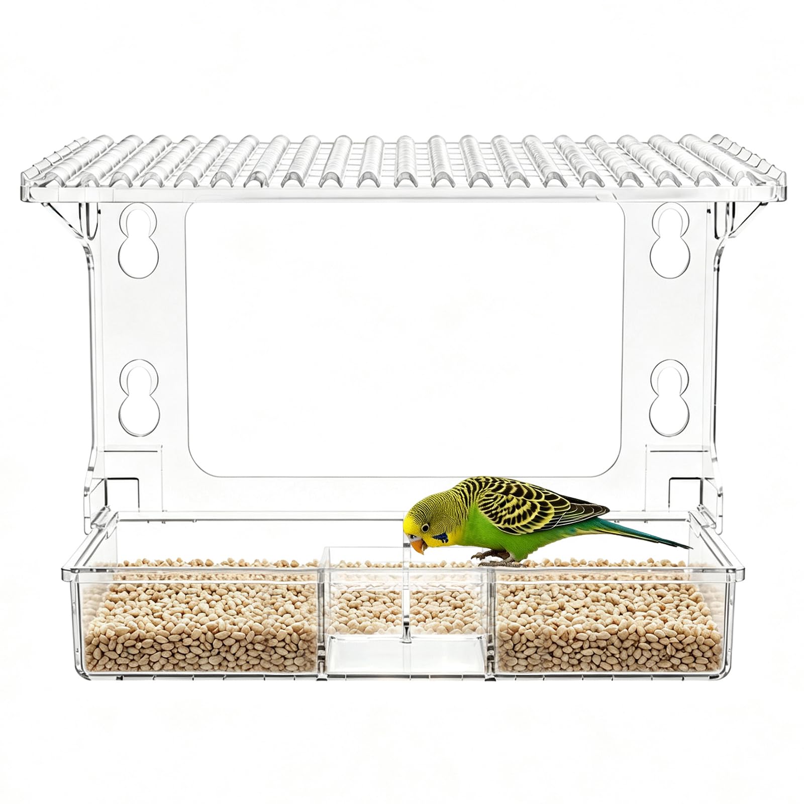 Clear Window Bird Feeder with Strong Suction Cups