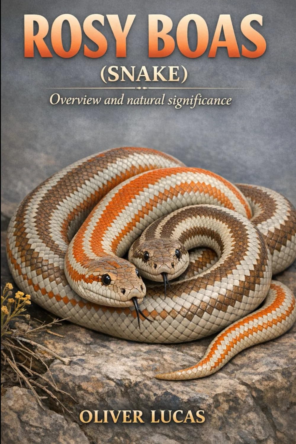 ROSY BOAS ( SNAKE ): Overview and natural significance