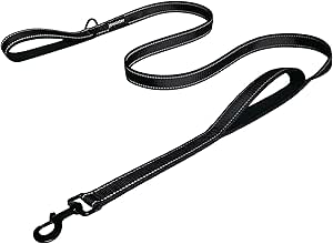 Heavy Duty Dog Leash - 2 Handles by Padded Traffic Handle for Extra Control, 6foot Long - Perfect for Medium to Large Dogs (6 ft, Black)