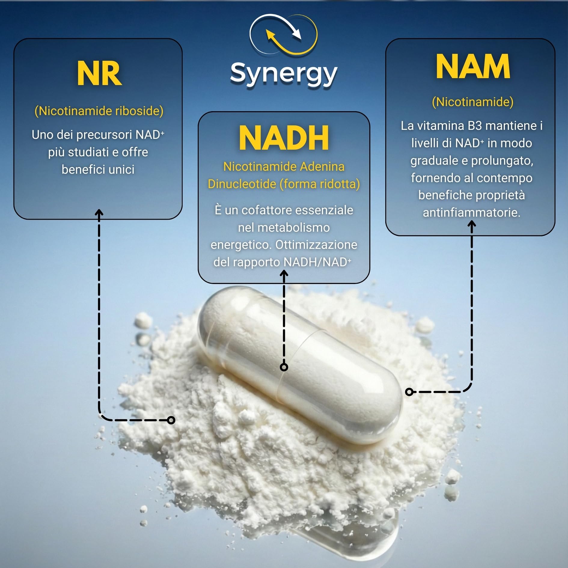 NAD⁺ ✗ NR + NADH + Vitamina B3 ✗ Cloruro di Nicotinamide Riboside ✗ Anti-Età ✗ Energia ✗ Azione sinergica rapida e prolungata ✗ Capsula vegetale gastroresistente ✗ Prodotto in Francia