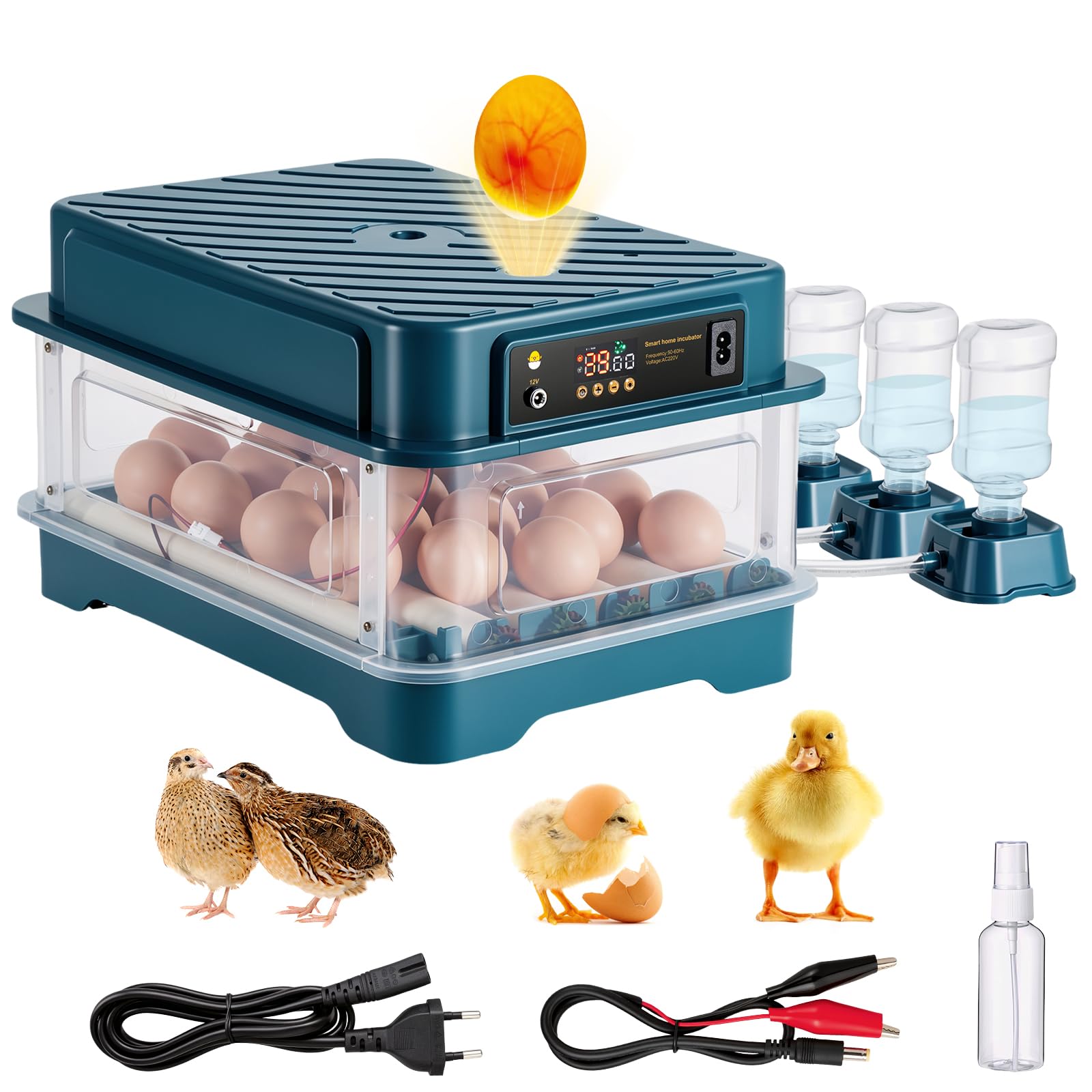 Incubadoras para incubar huevos, incubadora de 24 huevos con volteo automático y control de temperatura, llenado automático de agua, diseño de ventilación para gallinas, codornices y huevos de aves