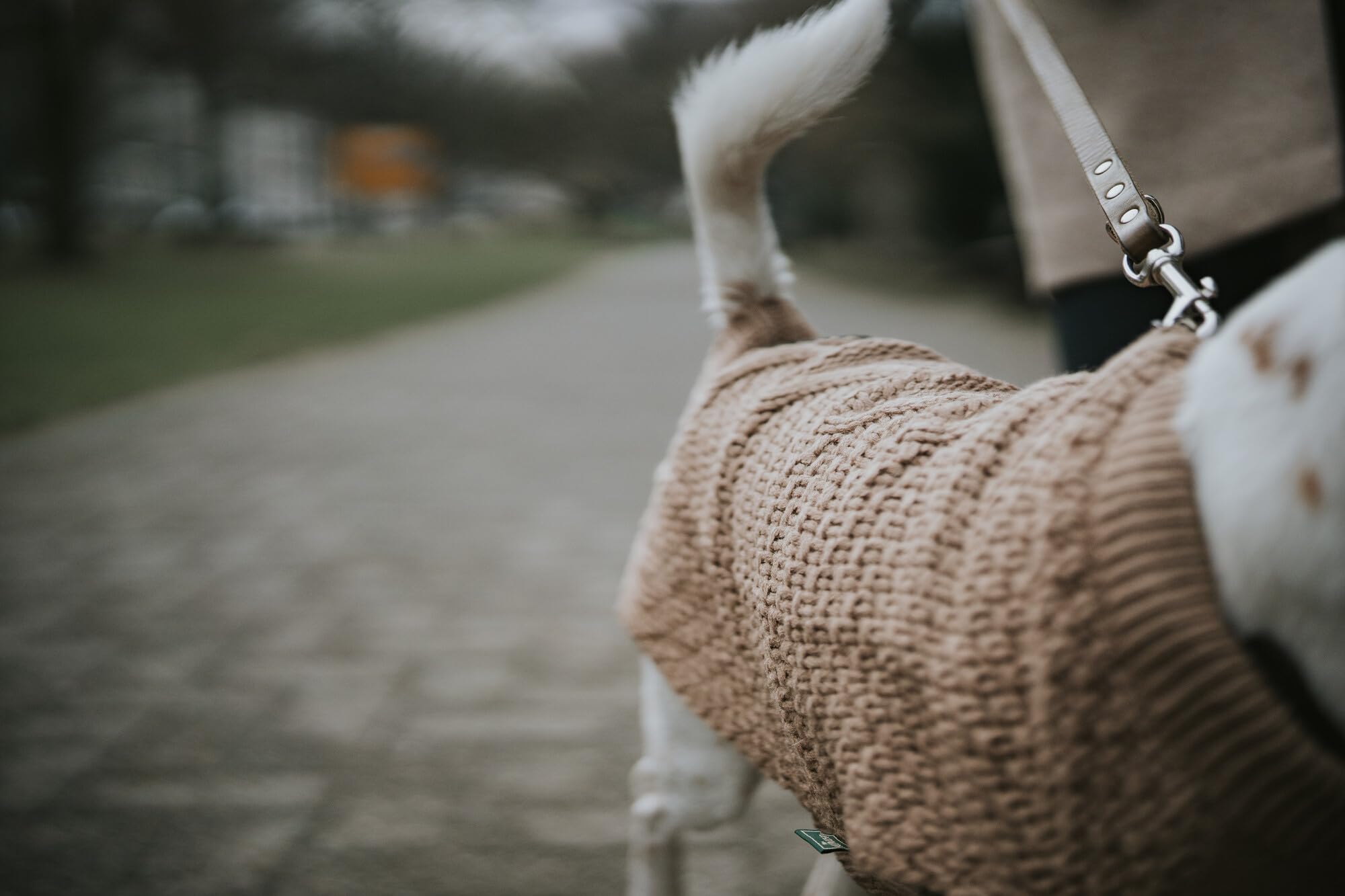 HUNTER Hundepullover MALMÖ, Farbe: beige, klassisches Zopfstrick-Muster, wärmend & bequem, elastisch für optimalen Sitz, reflektierend für mehr Sichtbarkeit, waschbar bei 30°C, Größe: 40