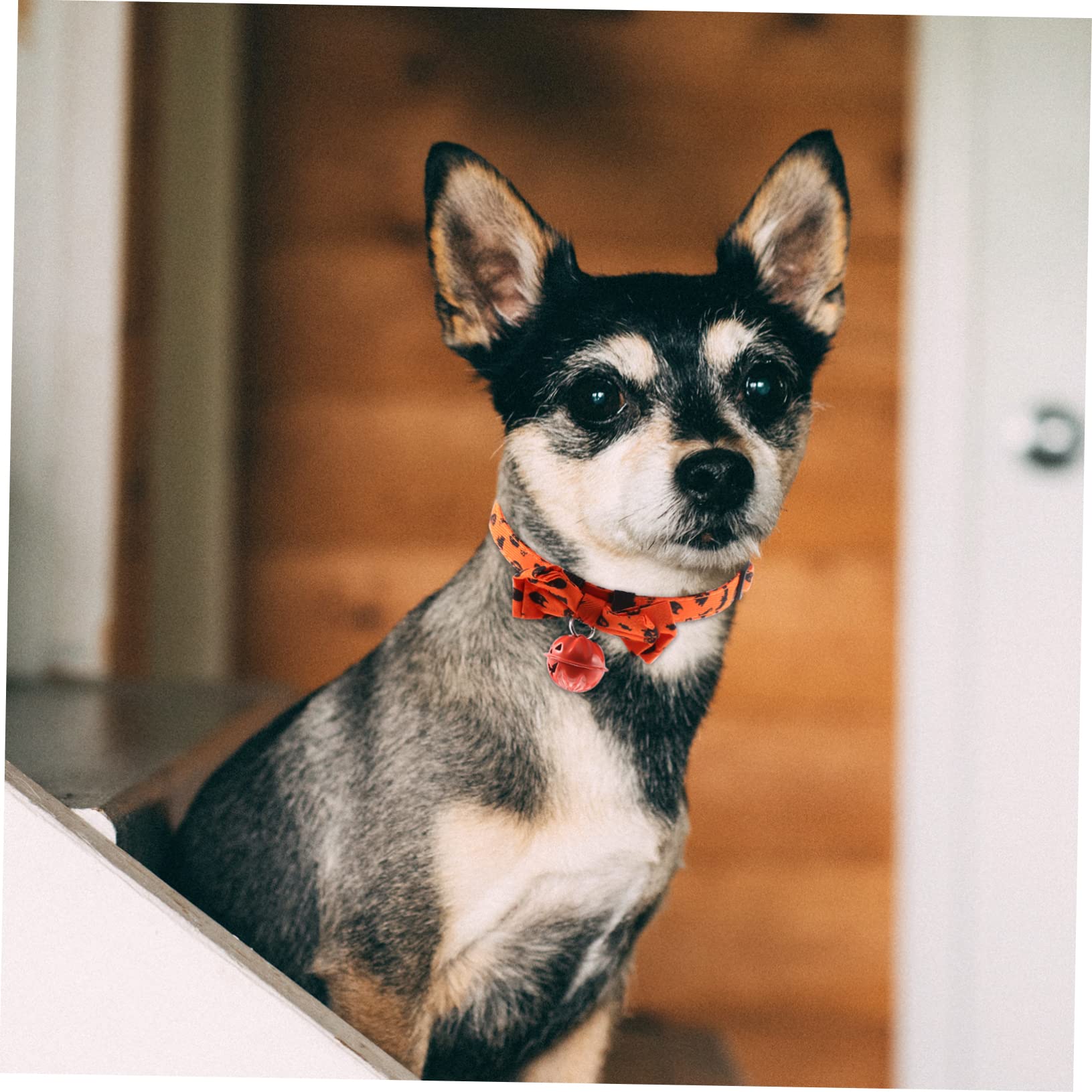 Happyyami 5stücke Halloween Katzenhalsband Mit Verstellbarem Bowknot Stilvolles Und Bequemes Haustierhalsband Für Feiertage Für Hunde Und Katzen Leuchtenden Farben Und Charmantem Design