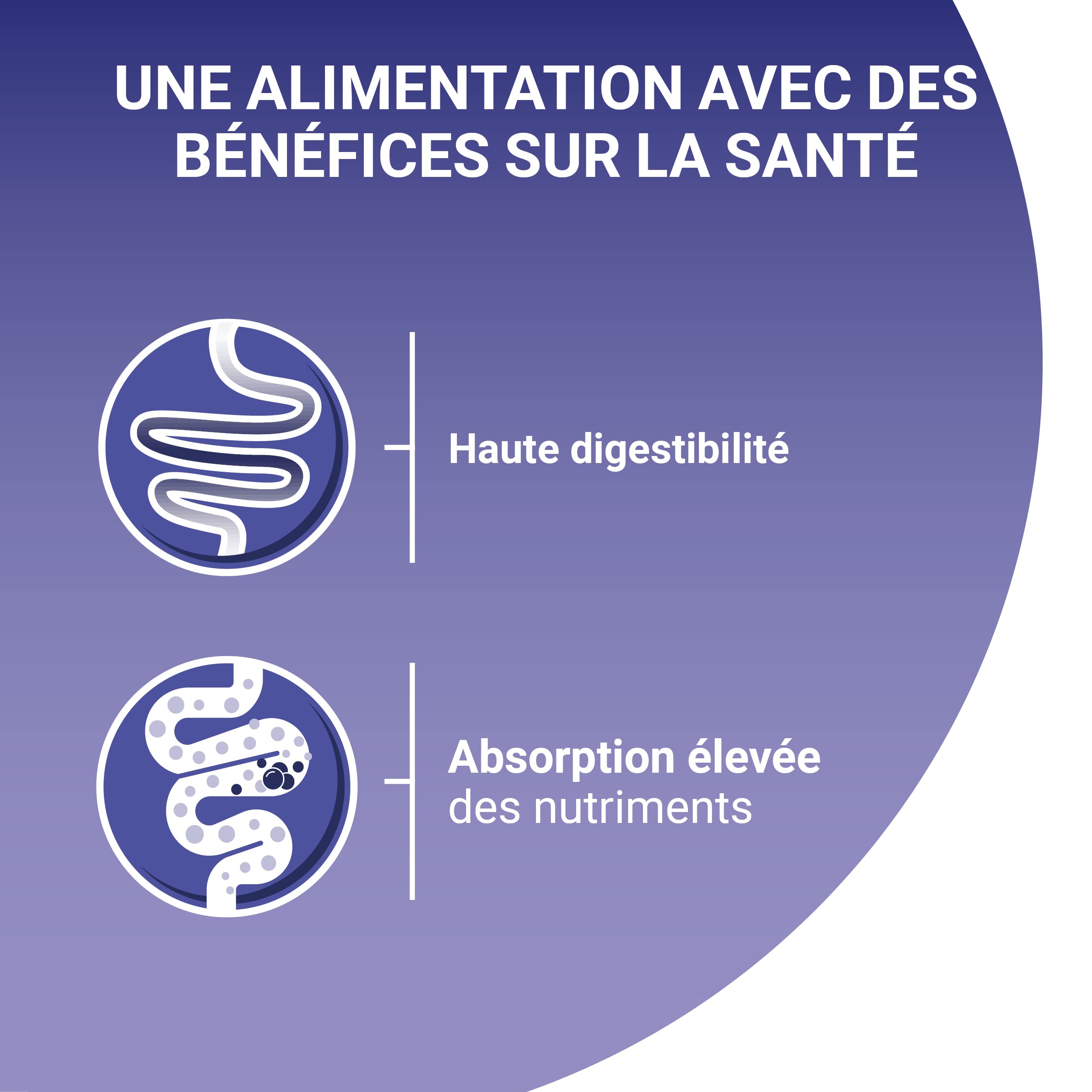 PURINA ONE | BIFENSIS | Spécial Chat Adulte Sensible | Aide à Maintenir Un système immunitaire Fort et Une Digestion Saine | Effilés en Sauce | Au Poulet et Thon | Sachet Repas | Lot de 12 (4 x 85g)
