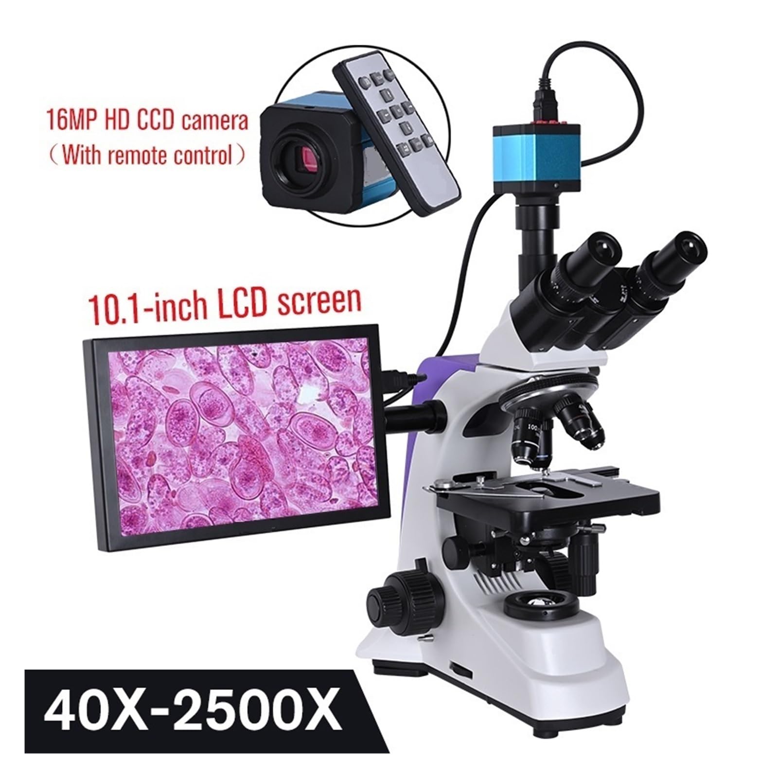 Microscopio trinocular HD biológico de Laboratorio con Zoom de 2500X y cámara Digital electrónica de 16 MP, USB, HDMI, VAG y Pantalla LCD de 10 Pulgadas, fácil de Usar.，Gold