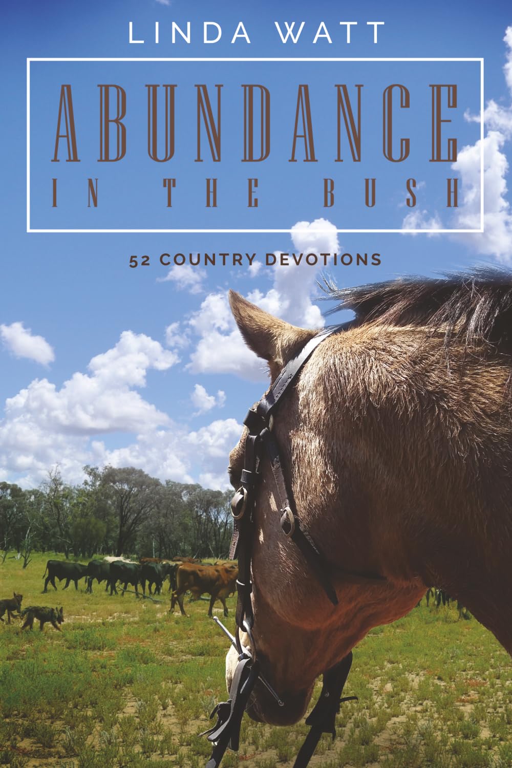 Abundance in the Bush: 52 Country Devotions