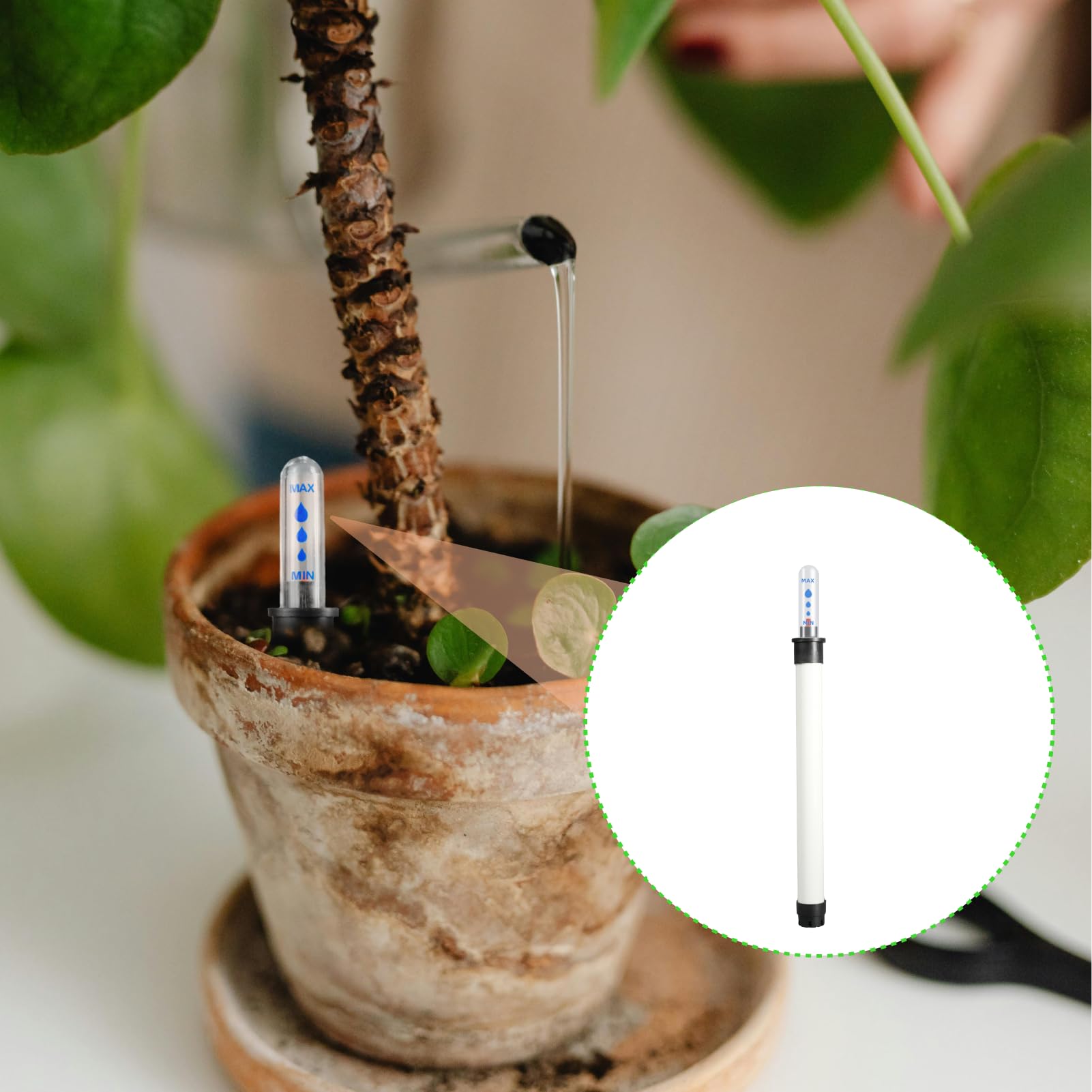10 Pezzi Indicatori Di Livello Acqua Per Piante – Tester Irrigazione 22,8 Cm – Per Vasi E Fioriere – Bianco - 3