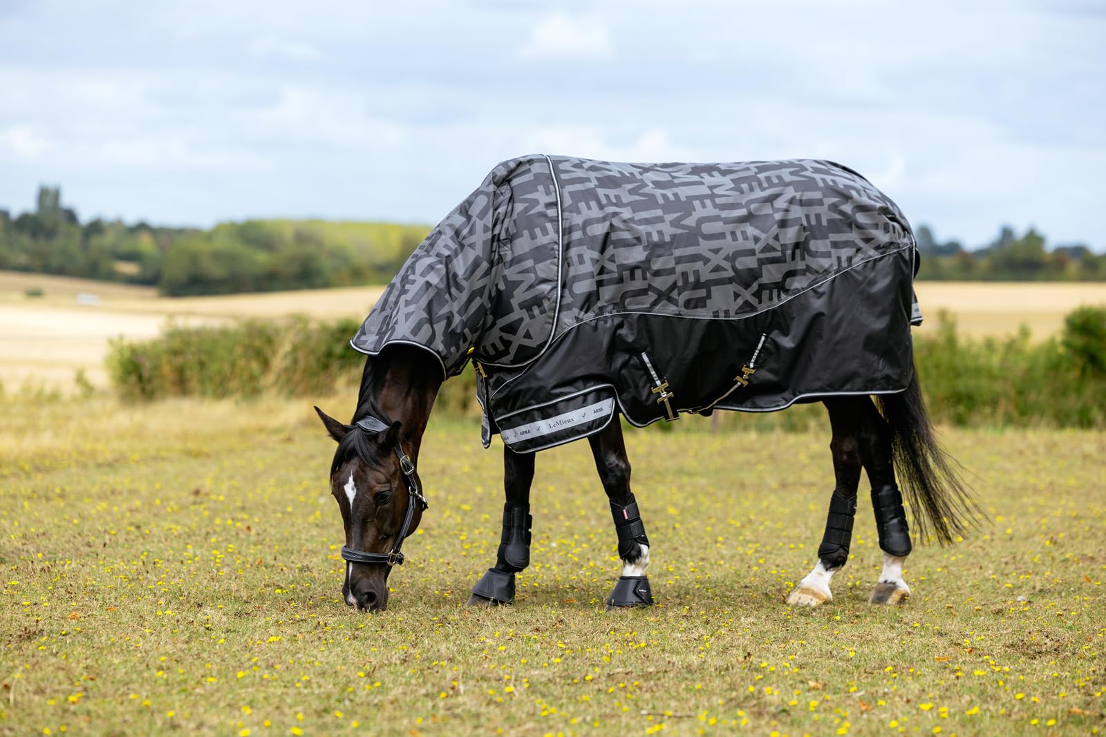 LeMieux Arika Reflective 0g Turnout Rug - 600 Denier Ripstop Outer - 3000mm Waterproof - leak-free Spine - Black - 6ft9 — image 1