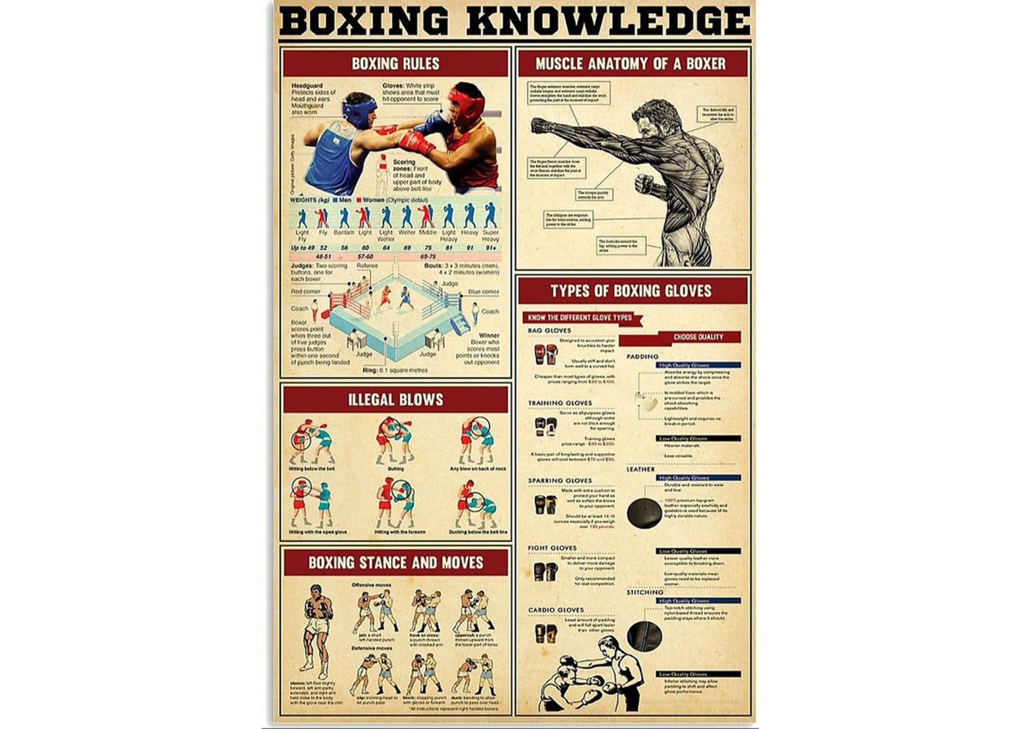 Nuboxx Boxing Knowledge, Boxing Workout metal tin sign Boxing Fighter Anatomy Poster, Boxing Poster, Boxing Art, Boxing Gifts, Boxing Lover Gift metal tin signs 6x8 Inch