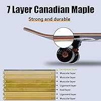 Vista 2 de LOL-FUN Longboards de 31 pulgadas para principiantes y adolescentes, madera de arce de 7 capas, cubierta cóncava de doble patada, patinetas