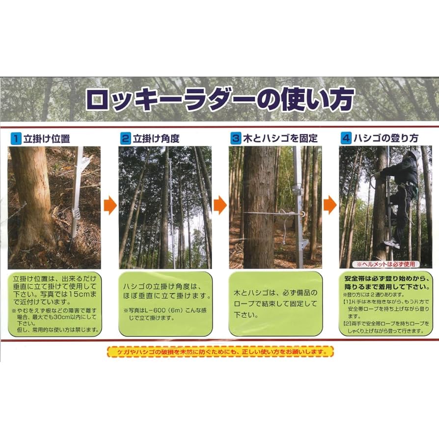 Ichigo (枝垂れヒバ２点セット) 41LBR04QSiL._UF350,350_QL50_.jpg