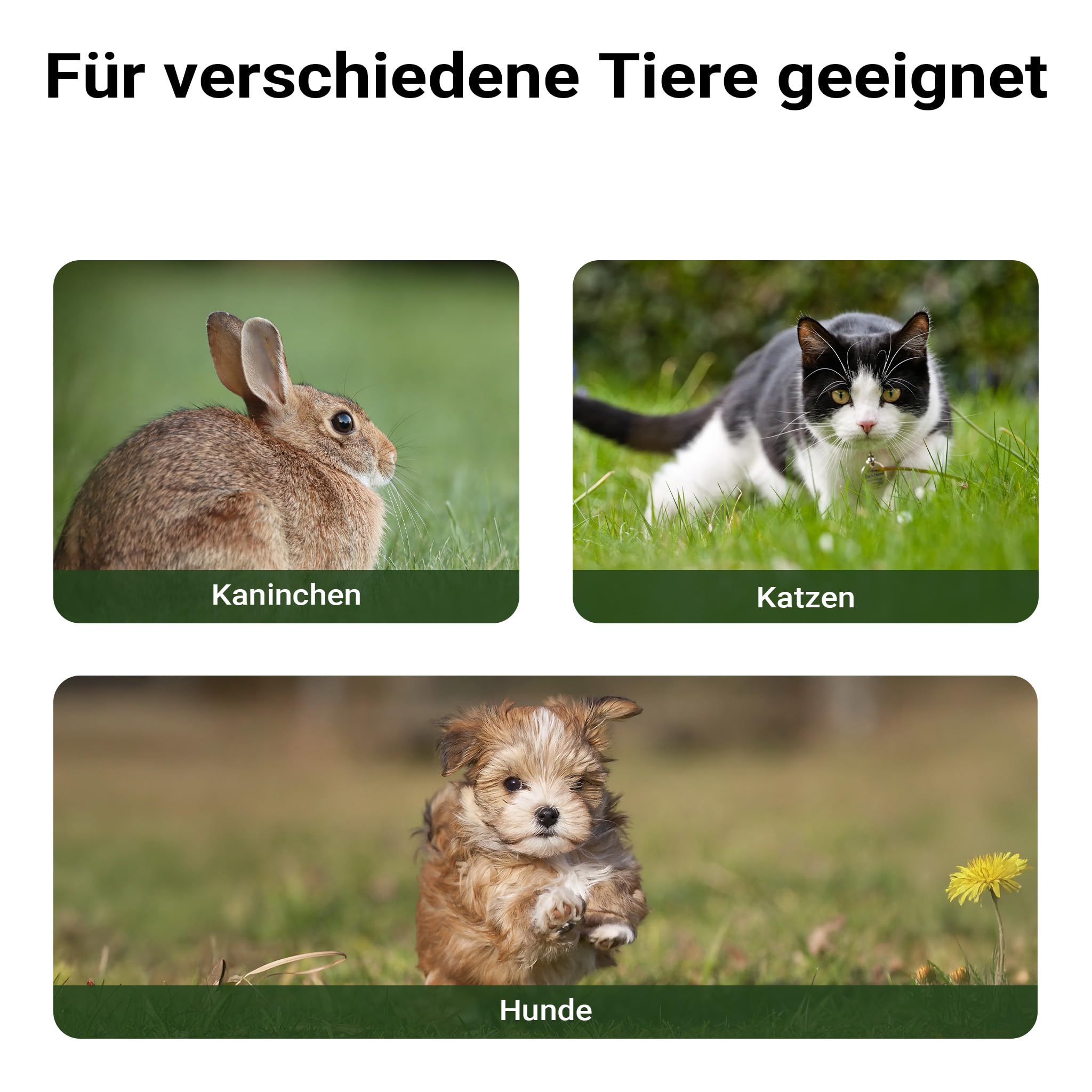 Wiltec Kleines Katzenhaus 68 x 53 x 47 cm aus Holz, Katzenhütte für Garten oder Terasse, Wurfkiste isoliert wetterfest, Katzenhöhle