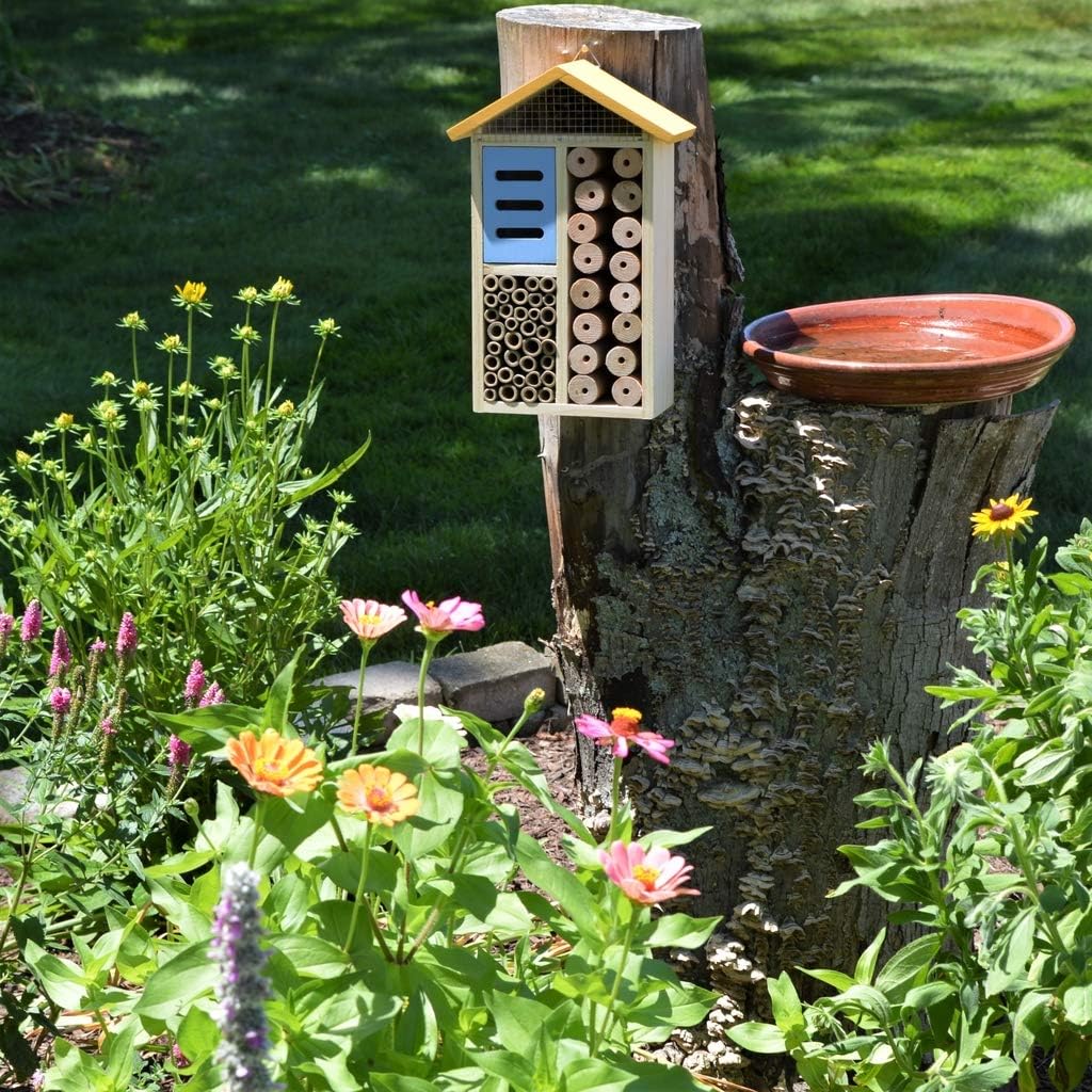 Nature's Way Bird Products 066561 PWH3-A Multi-Chamber Yellow Insect House, No Size