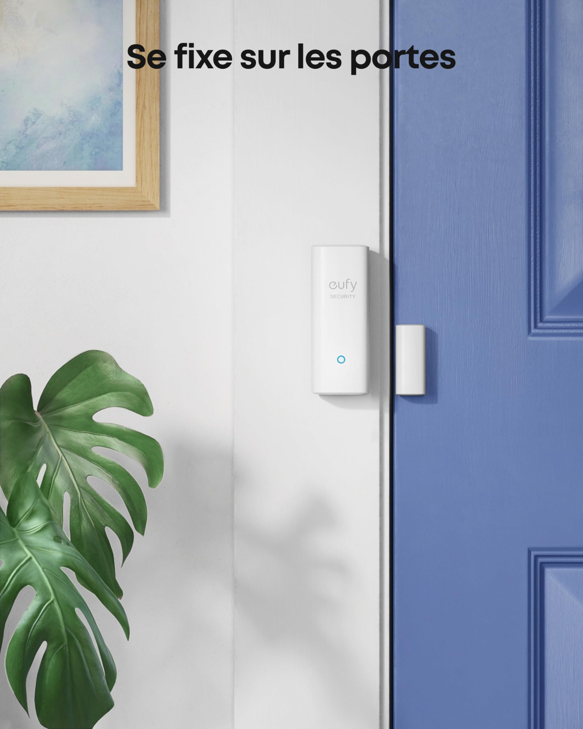 eufy Security, Capteur d'entrée eufy Security - Détecteur pour Portes et fenêtres avec Alarme, alertes sur Application Android/iOS, 2 Ans d'autonomie - Nécessite eufy HomeBase ou HomeBase E