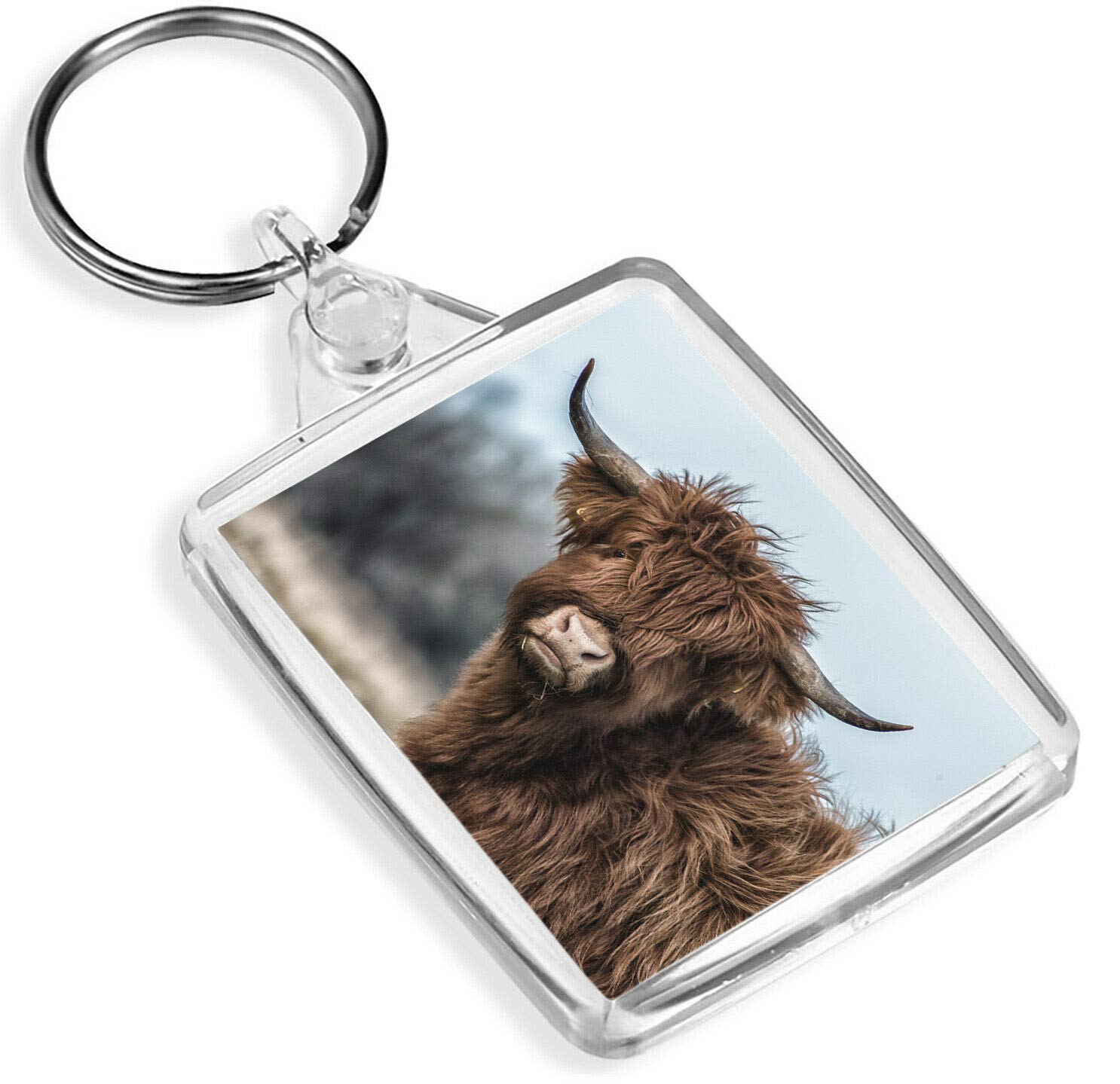 Destination Vinyl Keyrings Unisex Multi Cute Cow Cattle Keyring - Ip02 - Farm Animal Wild Farmer Bull #16296