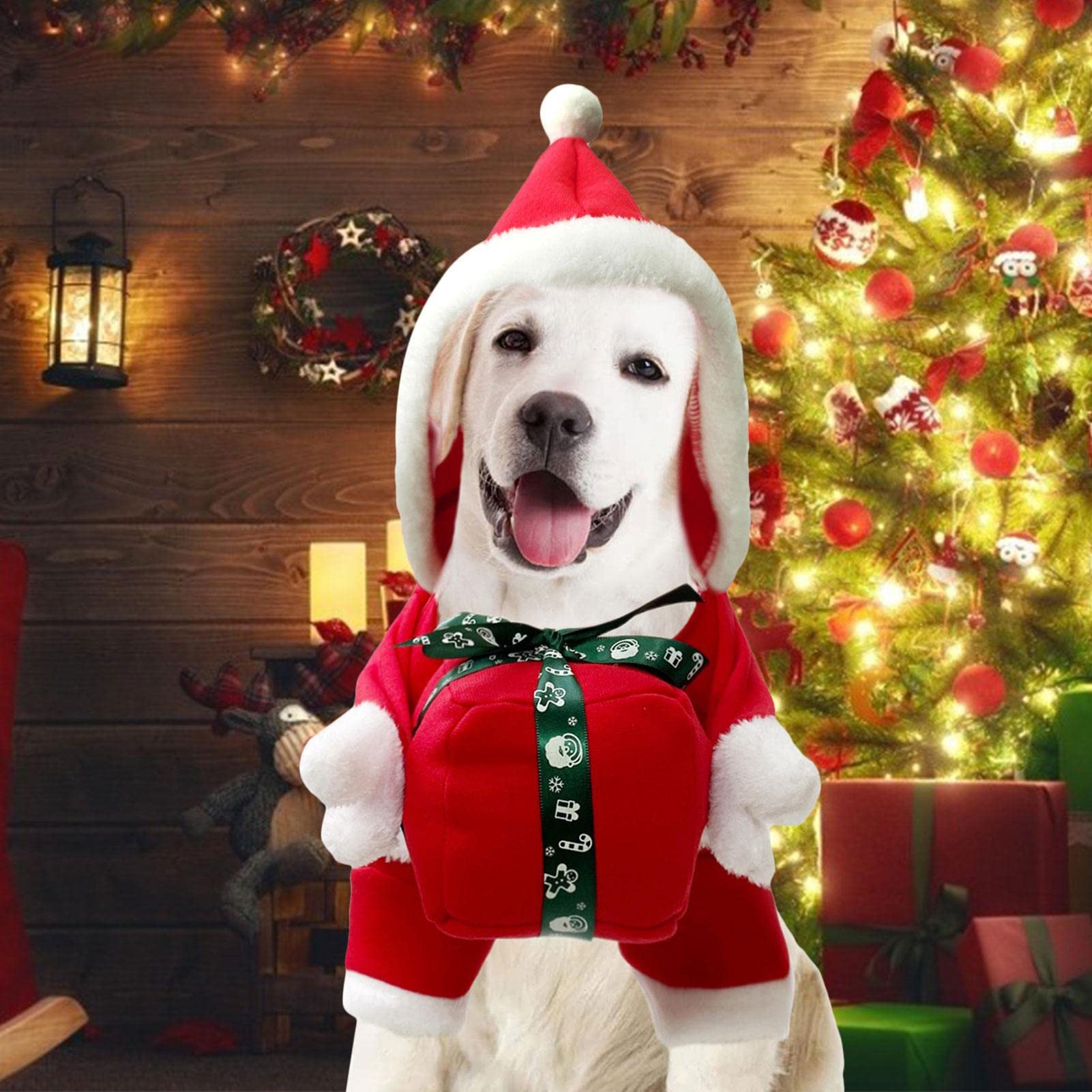 Amazon | 犬のクリスマスサンタコスチューム - クリスマスペット服,犬