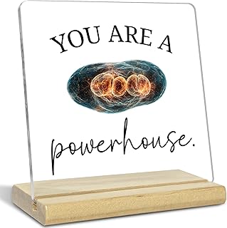 4×4 Inch Acrylic Plaque With Wooden Stand Sign - You Are A Powerhouse Motivational Desk Decor, Science Biology Gift for Teacher, Office School Classroom Table Shelf Decorations
