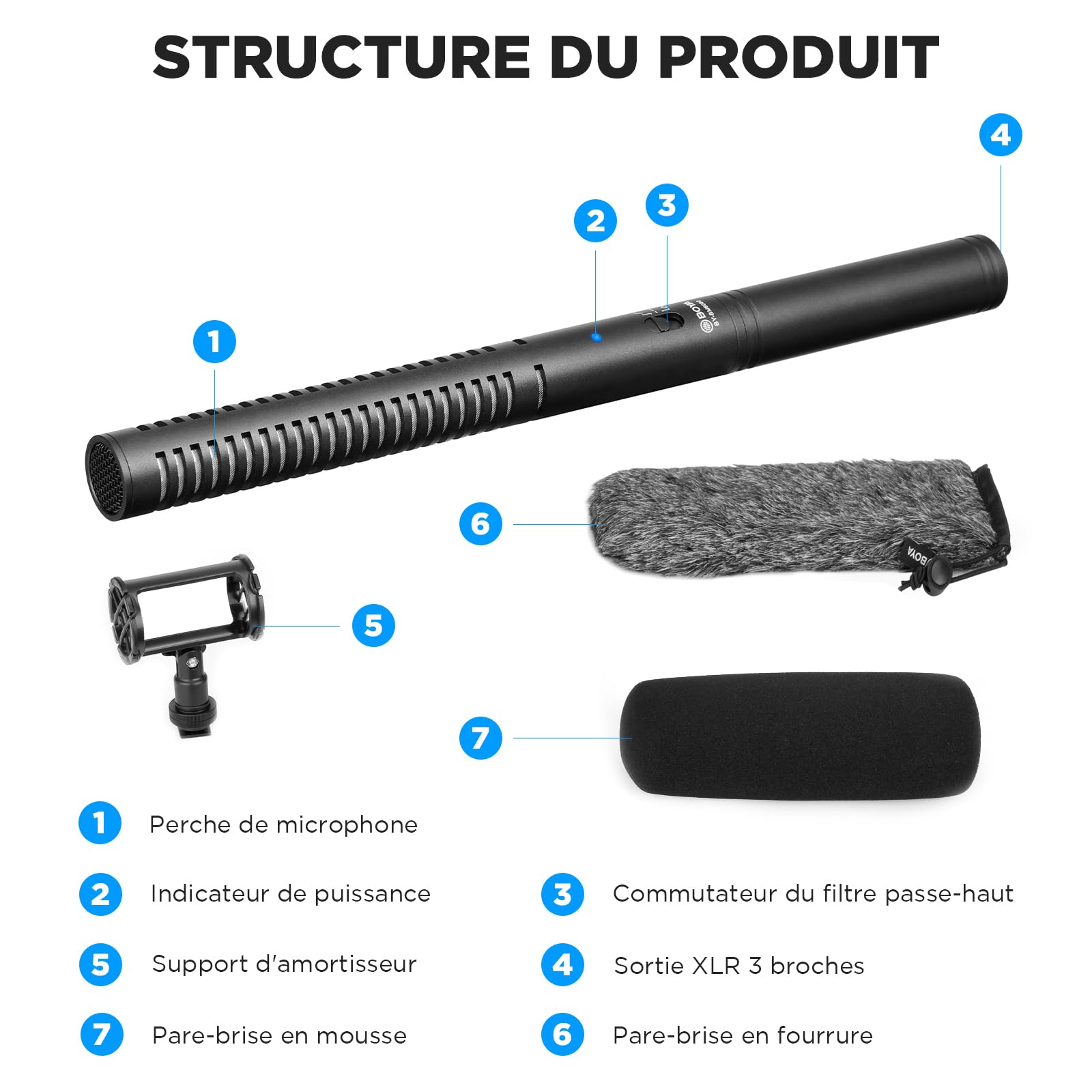 BOYA Microphone XLR BY-BM6060, Micro à condensateur supercardioïde avec Alimentation fantôme 24/48 V pour caméra, caméscope, Interview, Enregistrement d'émissions de télévision, Podcast