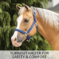 Vista 2 de Dura-Tech Cabestro de caballo totalmente acolchado de lujo Superposición de tela de nailon de doble capa de 1 pulgada Hardware resistente