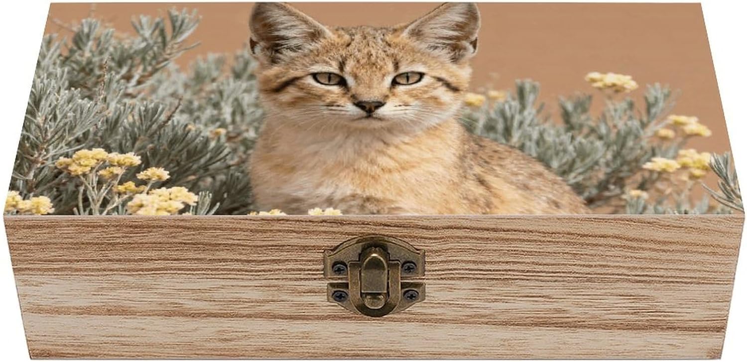 Vintage Wooden Storage Box with Hinged Lid, Sand Cat in Camelthorn