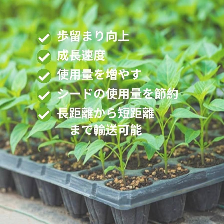 Amazon.co.jp: [AITREASURE] 10枚 育苗ポット トレー 育苗箱 稚