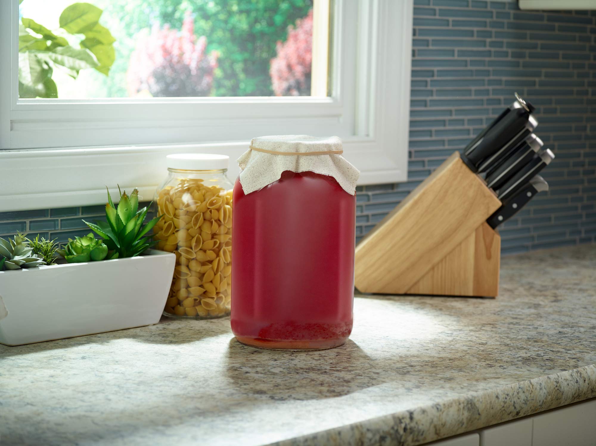 Wide Mouth 1 Gallon Glass Jar with Lid Glass Gallon Jar for Kombucha