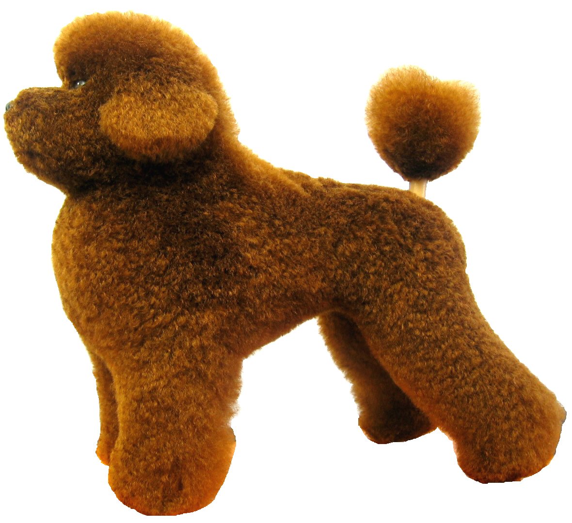 Amazon.co.jp: グルーミングレッスンドッグ127-CT トリマー練習