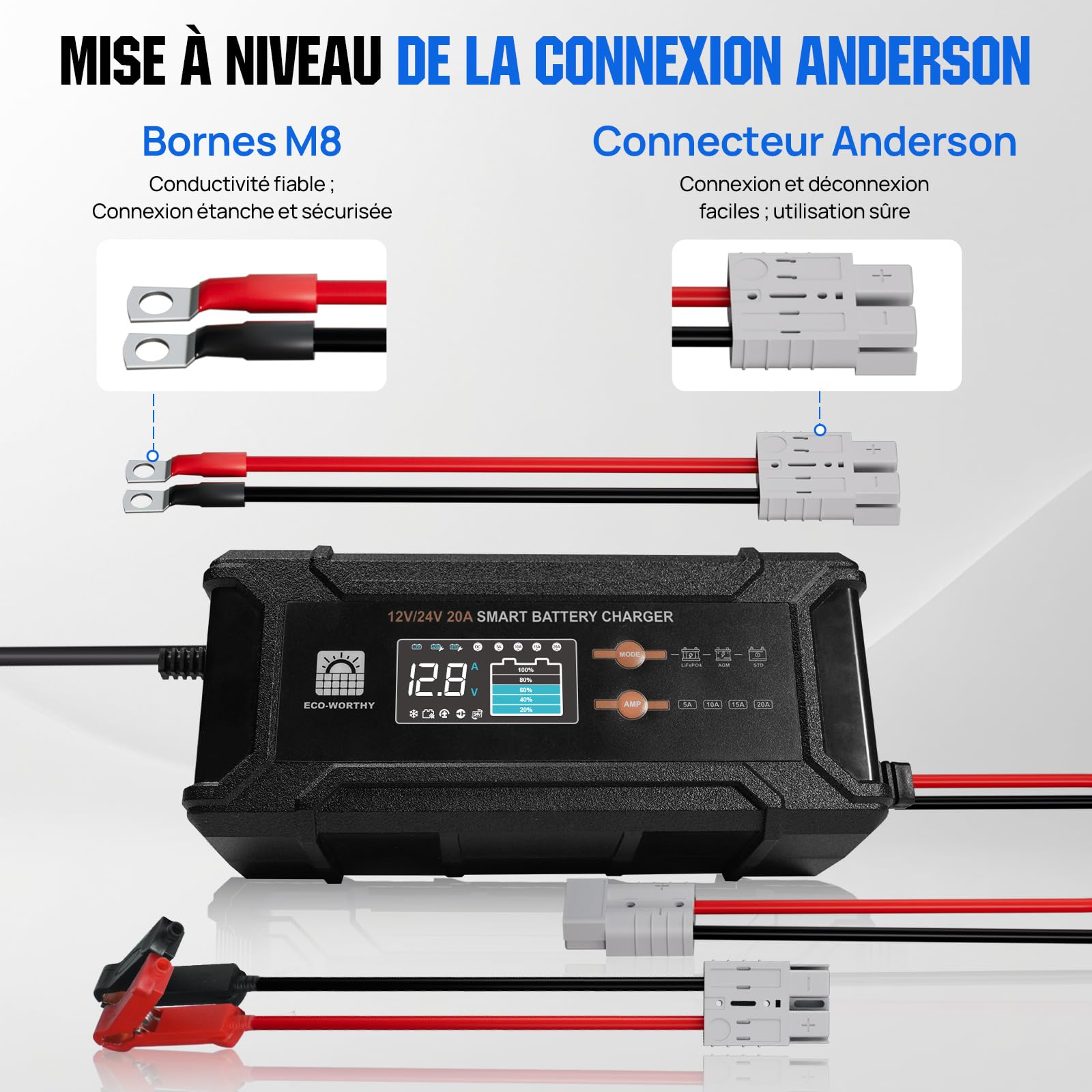 ECO-WORTHY 12V/24V 20A Chargeur de Batterie LiFePO4 avec Options Multi-Courant 5A/10A/15A/20A,détection Automatique de la Tension de la Batterie Plomb-Acide LiFePO4