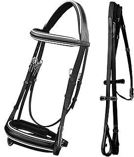 Exion Dressage Bridle for Horse with White Piping & Detachable Flash | Broad Padded Noseband | Premium Leather Dressage Bridle with Web Reins & Hand Stoppers - Buy now