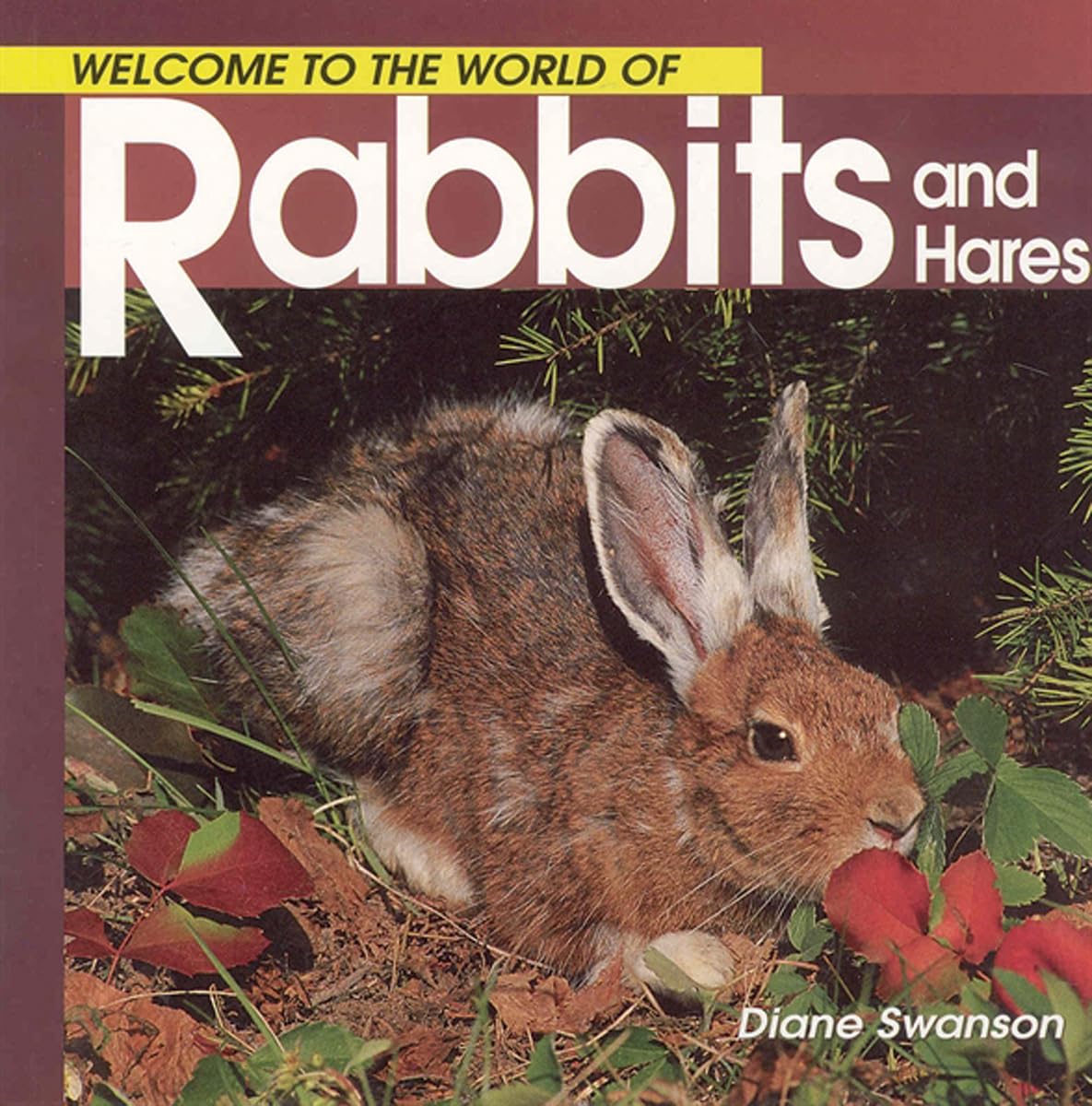 Welcome to the World of Rabbits and Hares (Welcome to the World Series ...