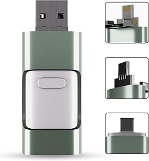 Suhsai 4 in 1 Flash Drive USB Drives Thumb Drive pendrive - 256GB Flash Drive 3.0 Backup Drive Memory Stick Jump Drives for iPhone iPad Android Laptop Smart Phone Storage Drive pc Storage (Green)