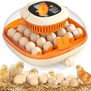 25 Egg Incubator for Hatching Chicks, Automatic Egg Turner with Thermometer Seat and Humidity Control, Egg Candler, 360° View with Clear Window