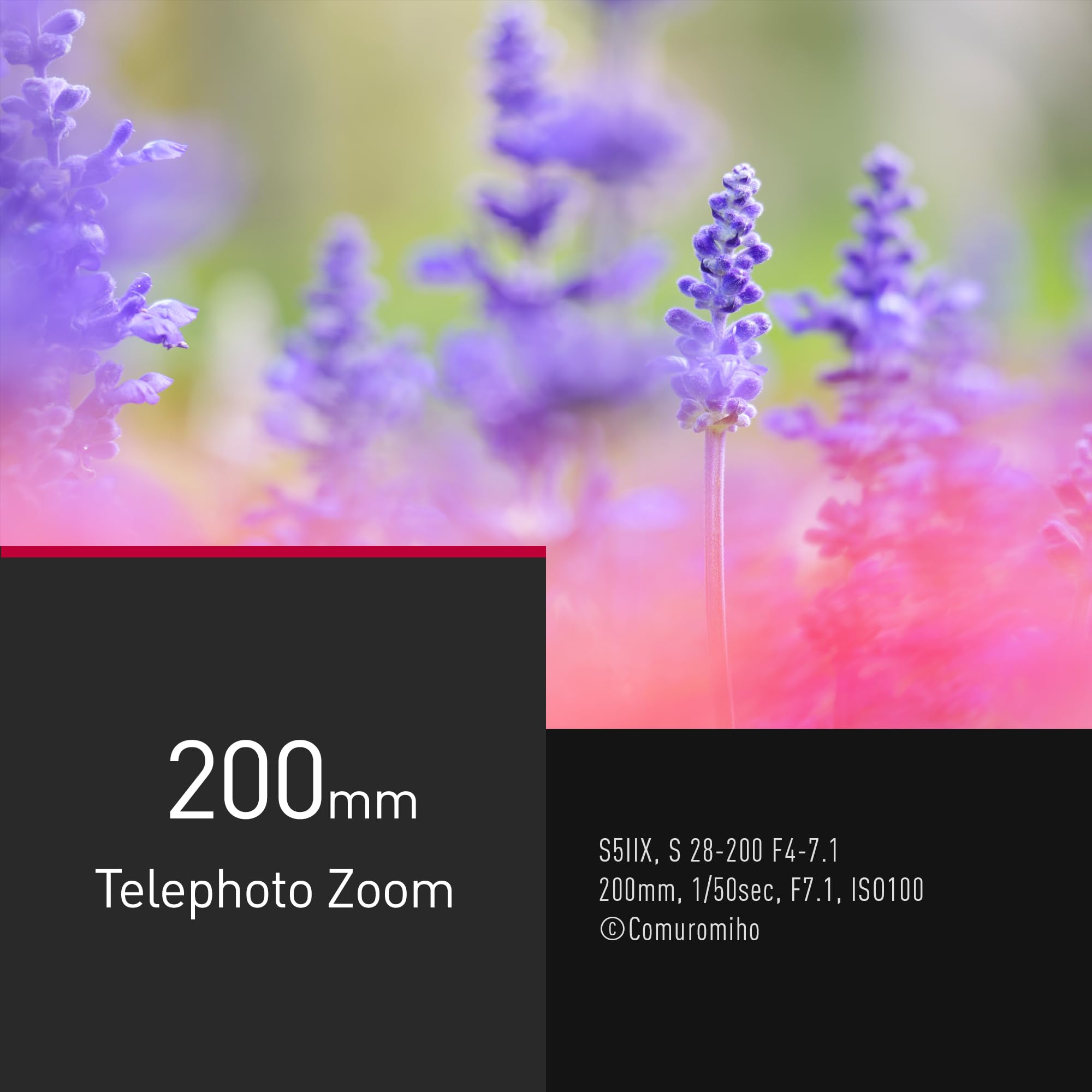 Panasonic Lumix S 28-200mm F4.0-F7.1 I Objectif Téléphoto Polyvalent Macro Plein Format S-R28200E (Zoom 200mm, Macro, Double Stabilisation, Tropicalisé, Compact et léger) Noir, Compatible Monture L