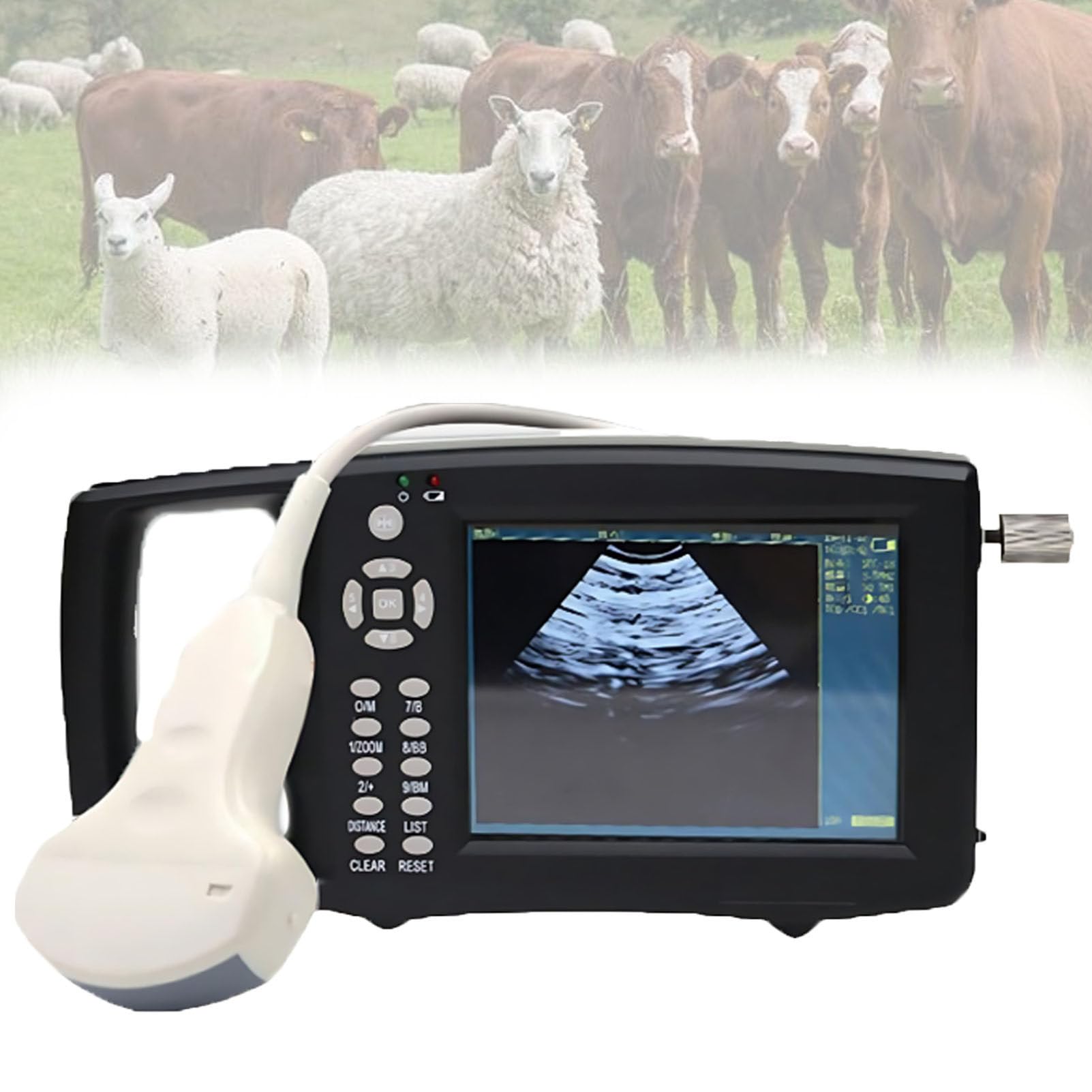 Analizzatore veterinario portatile di ultrasuono con la sonda 3.5/6.5MHz per il bestiame e la diagnostica dell'animale domestico