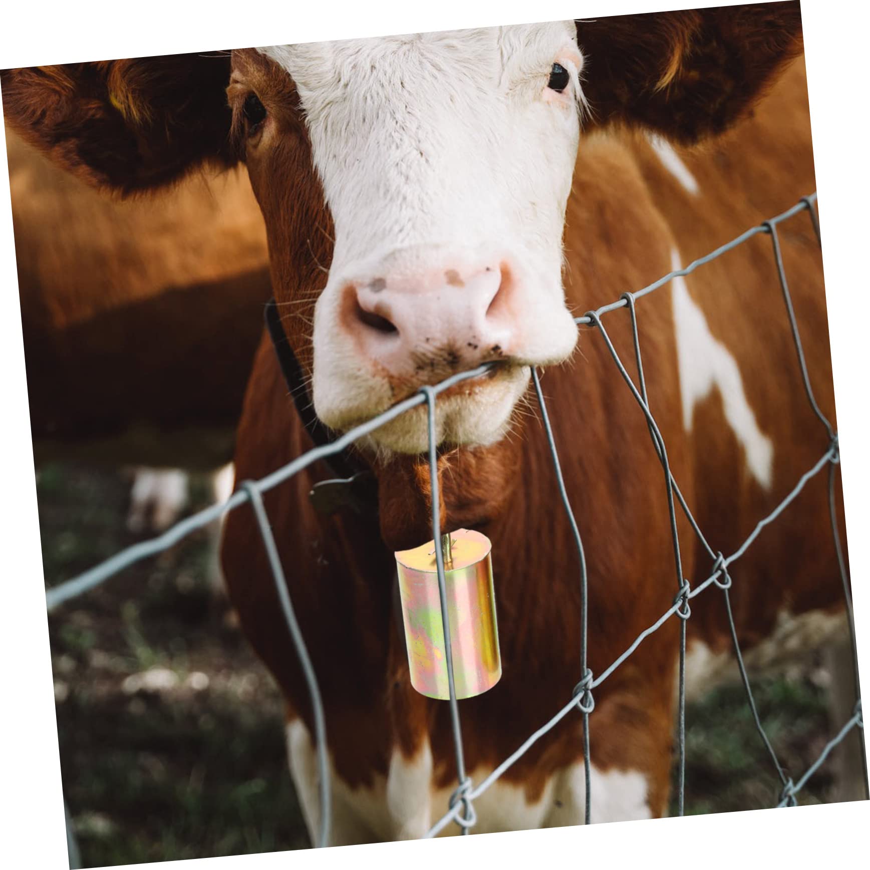 Hemobllo 2pcs Cattle and Sheep Bells Cow Bells Large Hanging Small Bells That Jingle Tags Musical Cowbells Country Cow Bell Cow Bell Decorations Vintage Cattle Bells Grazing Galvanized