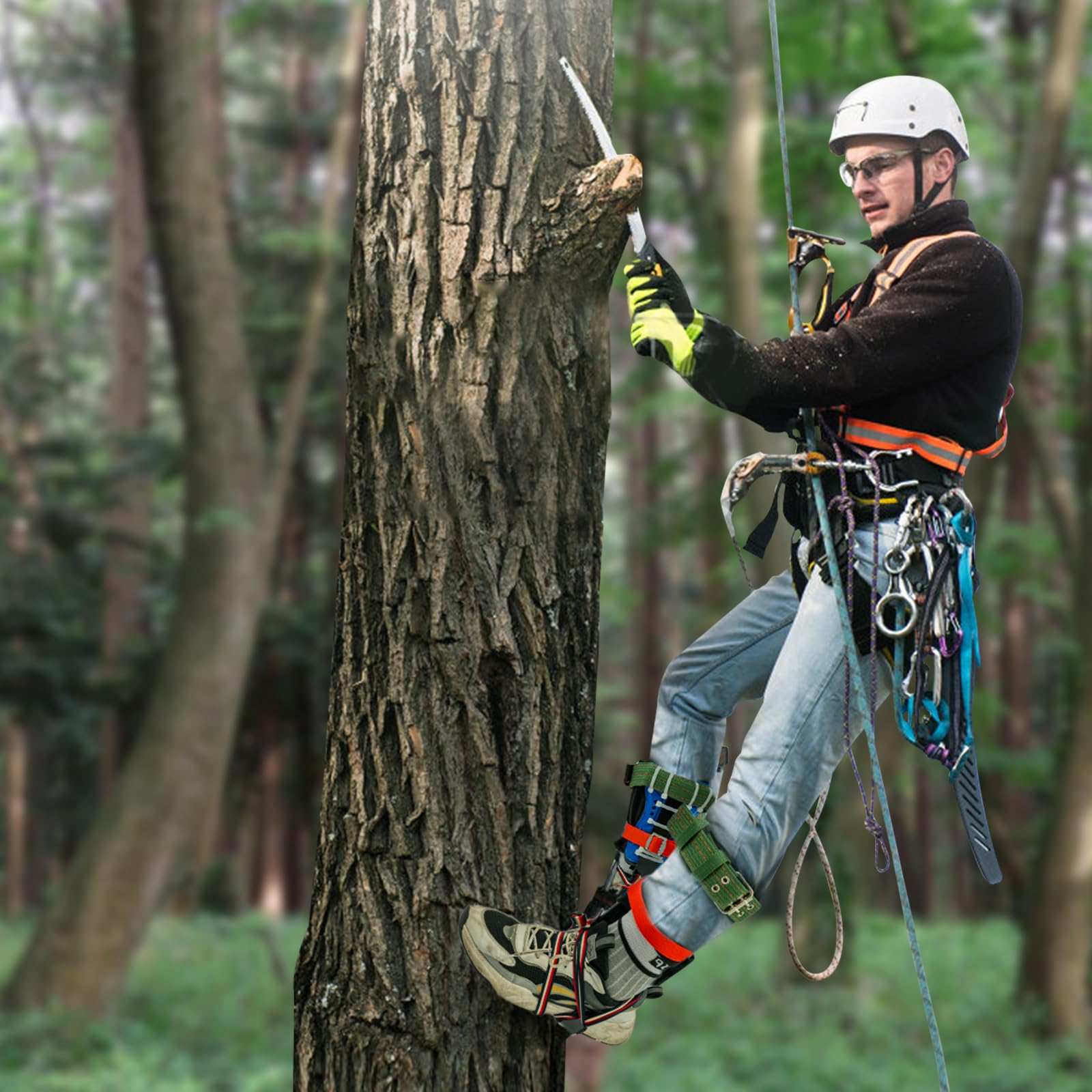 Kit d'équipement d'escalade pour arbres, 1 paire de crampons forestiers, crampons d'arbre, pointes, outils d'escalade avec bande de sécurité DHL pour l'escalade des arbres, l'élagage en hauteur, la