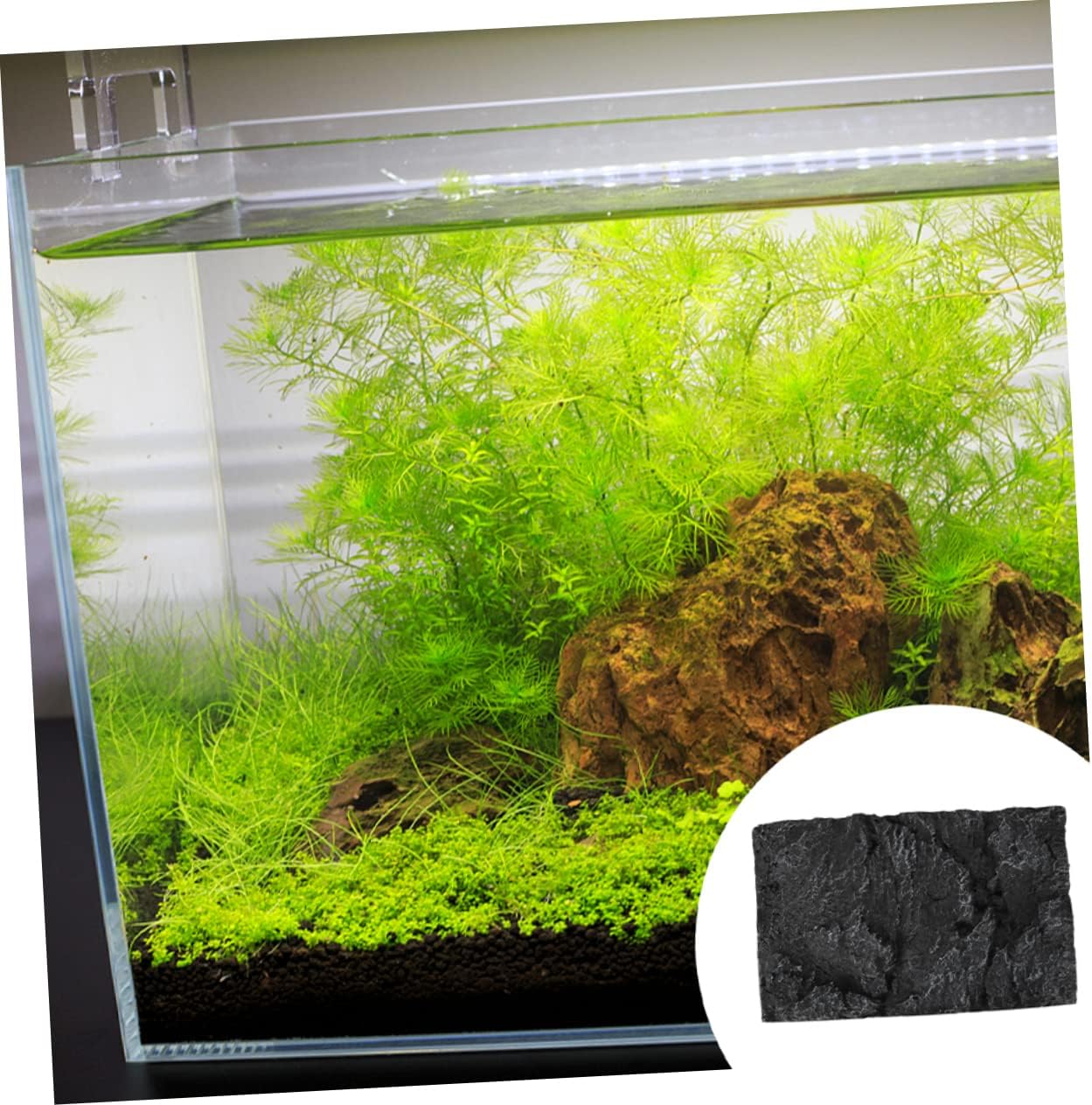 2pcs Reptile Tank Background Board Imitation Landscape Decor for Aquariums Turtle Tanks and Terrariums and Easy to Install Design