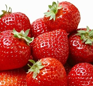 ALEXI Strawberry Seeds - Strawberry Seeds for Planting Outdoor - Non GMO - High Germination - High Yield - Sweet and Melt ...