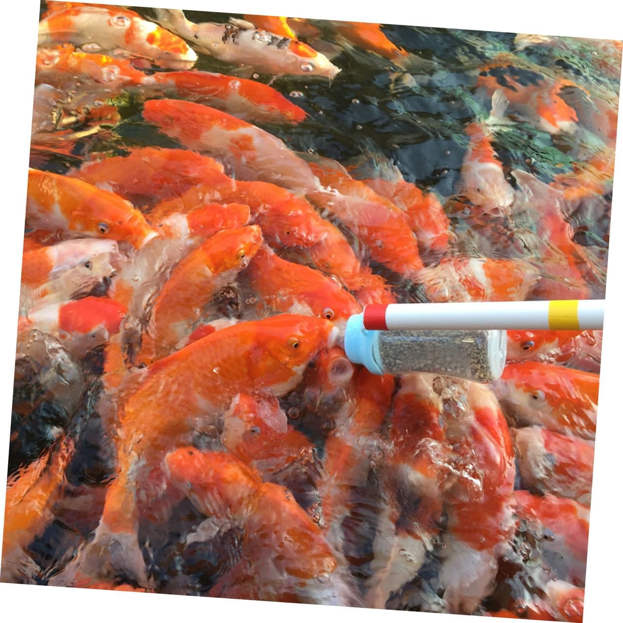 balacoo 2pcs Aquarium Fish Feeder Bottle Carp Bottle with Pole Transparent Design for Easy Viewing and Cleaning for Fish Tank Feeding Construction