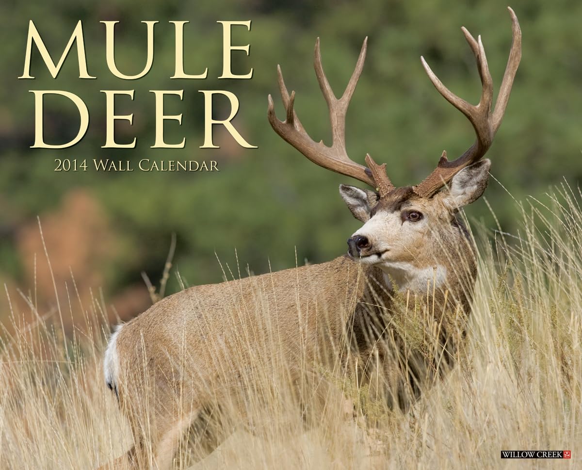 Mule Deer 2014 Wall Calendar: Willow Creek Press: 9781607559009: Amazon ...