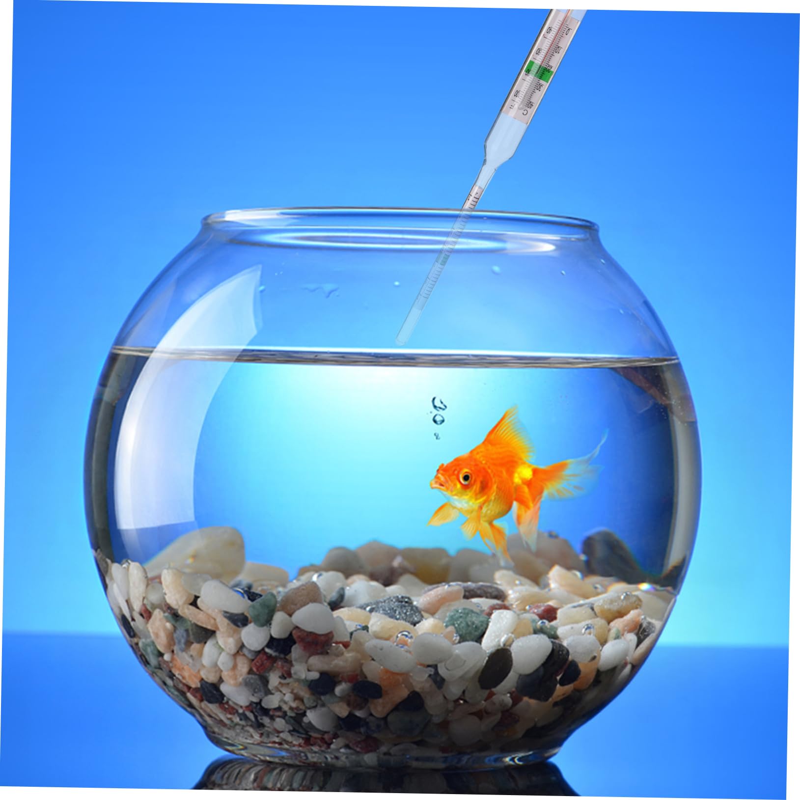 OKUMEYR Aquarium Tester Kit Hydrometer Water Salimeter for Saltwater Tanks Pools Water Quality Tool