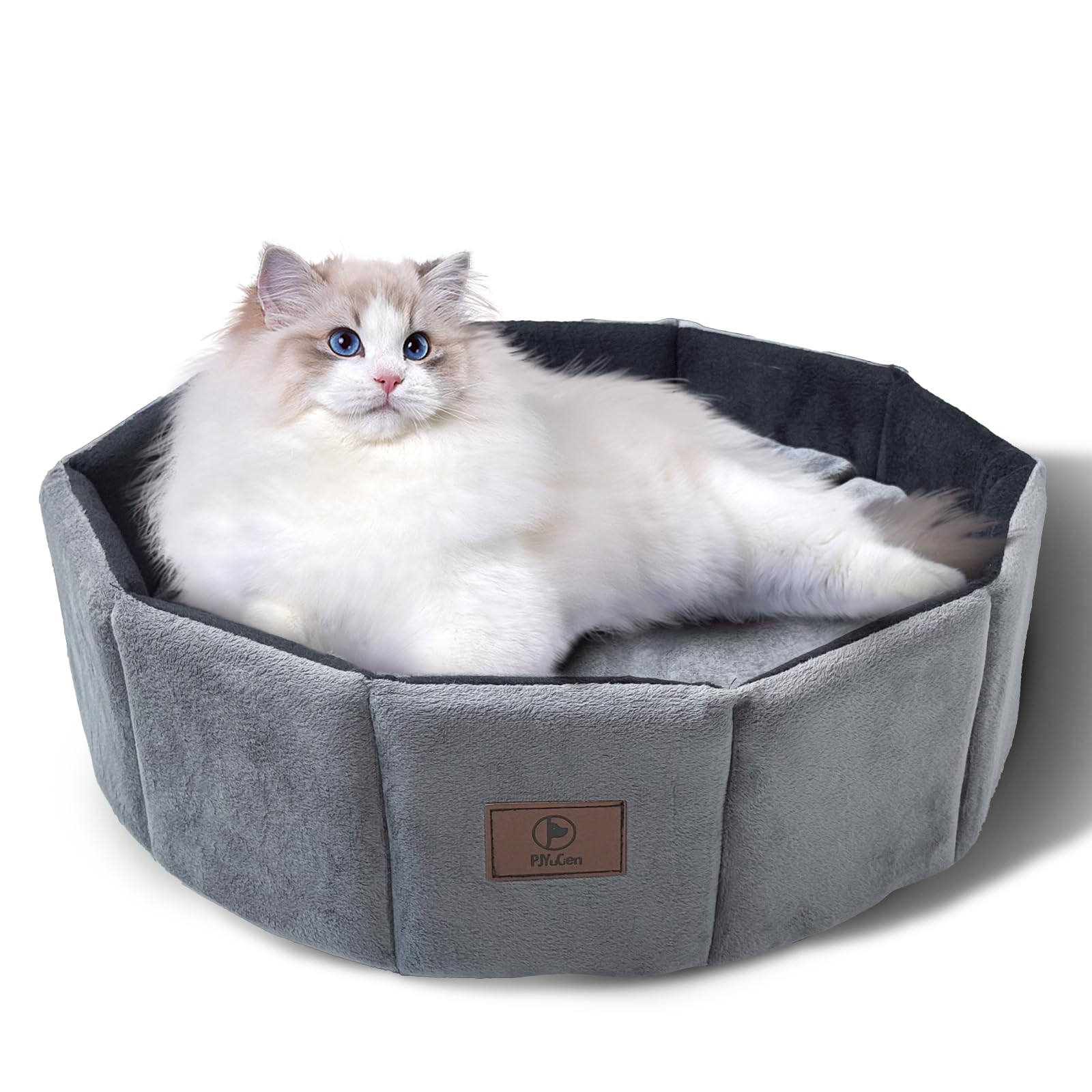 Cama para Gatos y Gatitos, B0F9KD4H39