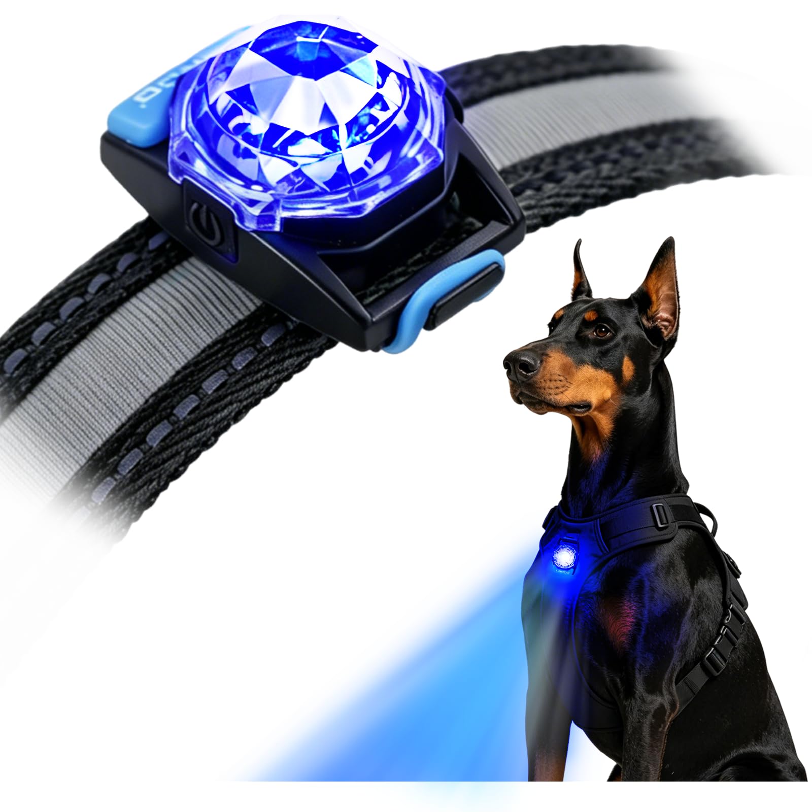 LaRoo Hund Sicherheitlicht für Nachtspaziergänge - Leuchtendes LED Halsband-Zubehör, Wasserdichtes Silikon, Klettverschluss für Hundeleine/Geschirr, Haustier für Outdoor-Aktivitäten