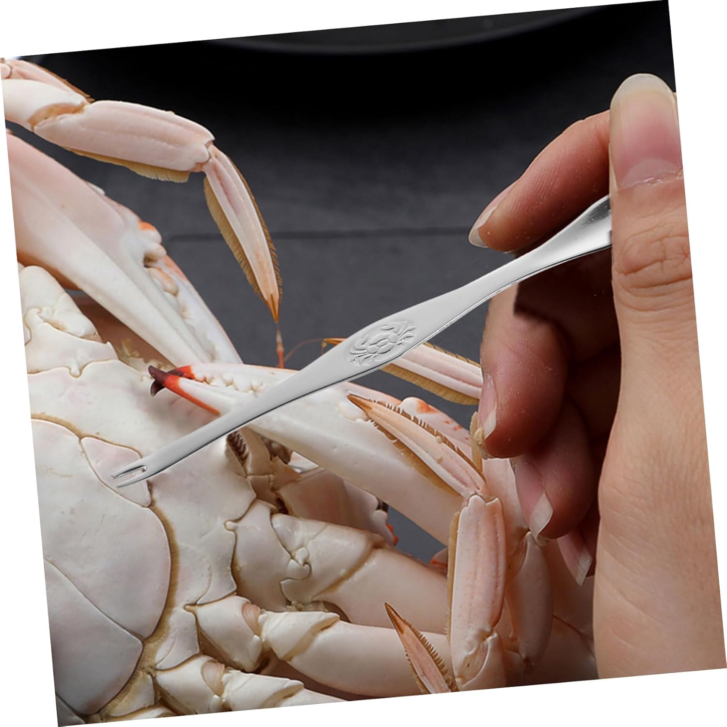 9 Pcs Lobster Tools Scallop Tools Lobster Lobster Forks Seafood Needle Seafood Opener Tools Lobster Pick Lobster Crackers and Picks Nut Tool Crab Tool Kit Alloy (Silverx2pcs 18X3.7X2CMx2pcs)