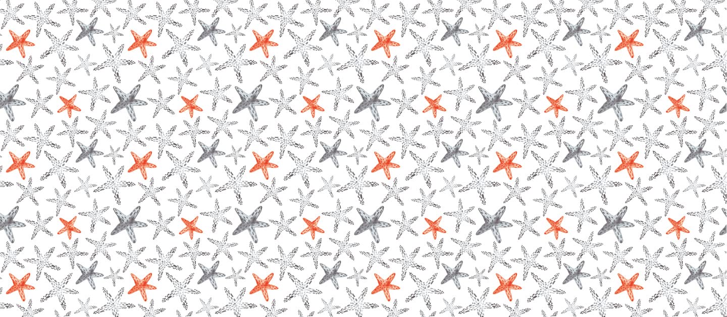 d-c-fix Sea Starlets Wipe-Clean Tablecloth – PVC-Free – Food Safe, Stain-Resistant – 110 x 140 cm