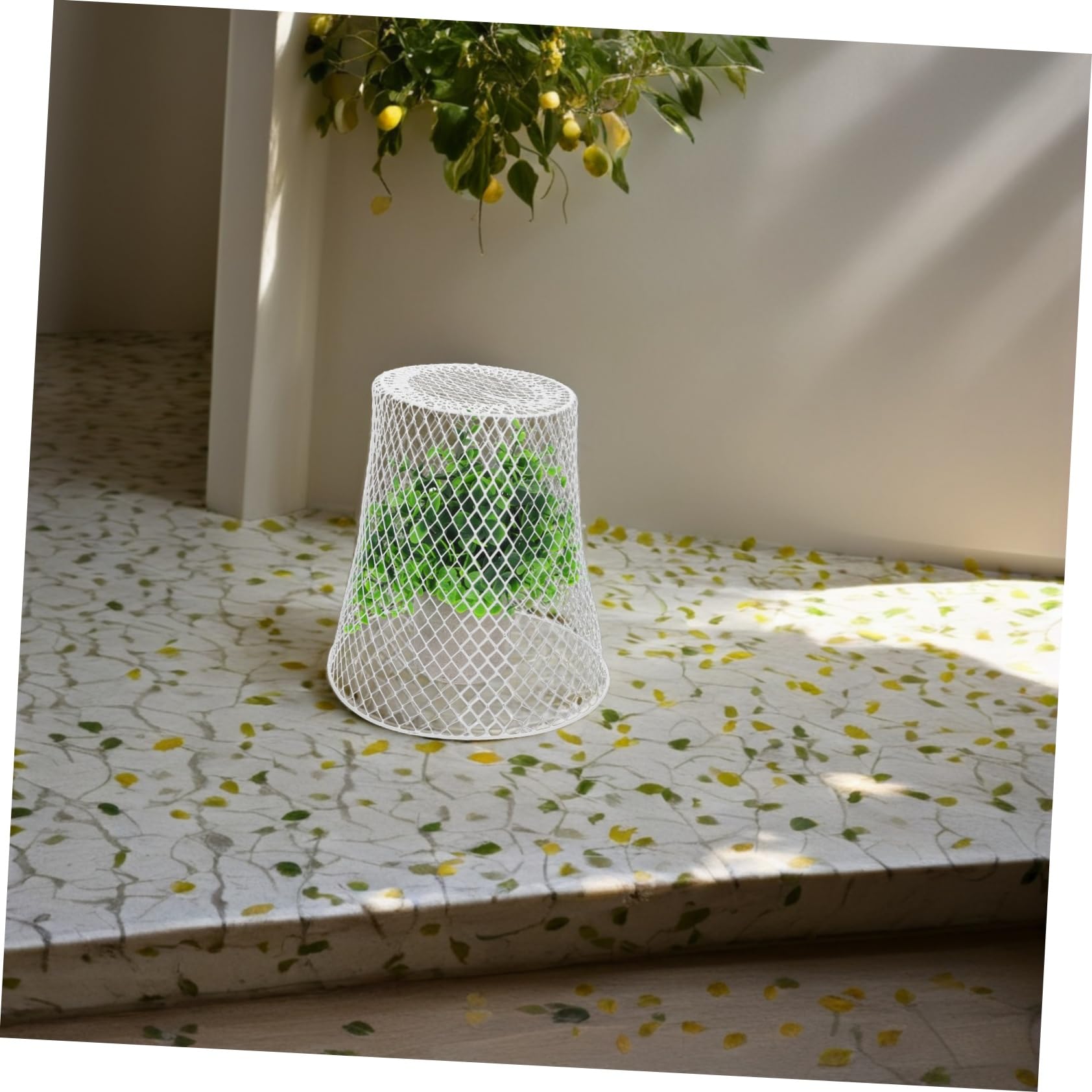 SOIMISS Cloche Grillagée Métal pour Protection De Plantes Semis Et Légumes Usage Extérieur Et Balcon